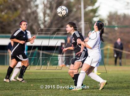 Thumbnail 3 in Cromwell @ Northwest Catholic (CIAC Class M 1st Round) photogallery.