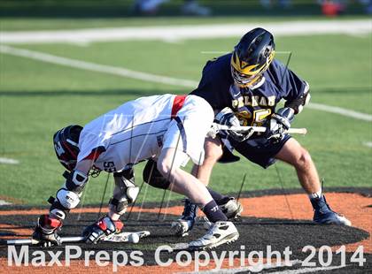 Thumbnail 1 in Pelham Memorial @ Eastchester photogallery.