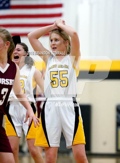 Thumbnail 1 in Thorsby @ Billingsley photogallery.
