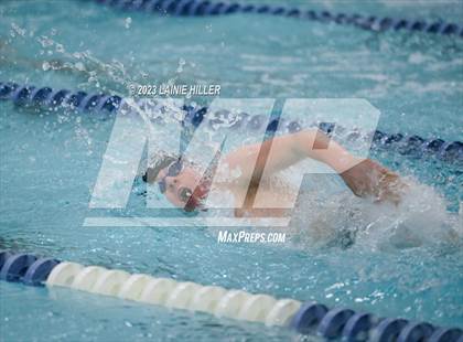 Thumbnail 1 in Thief River Falls @ Bemidji photogallery.