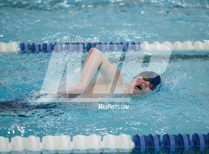 Thumbnail 3 in Thief River Falls @ Bemidji photogallery.