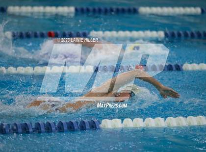 Thumbnail 1 in Thief River Falls @ Bemidji photogallery.