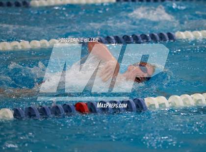 Thumbnail 1 in Thief River Falls @ Bemidji photogallery.