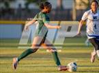 Photo from the gallery "Westover @ Pine Forest"