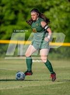 Photo from the gallery "Westover @ Pine Forest"