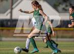 Photo from the gallery "Westover @ Pine Forest"