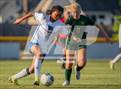 Photo from the gallery "Westover @ Pine Forest"