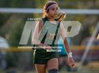 Photo from the gallery "Westover @ Pine Forest"