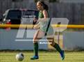 Photo from the gallery "Westover @ Pine Forest"