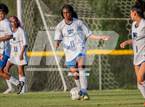 Photo from the gallery "Westover @ Pine Forest"