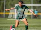 Photo from the gallery "Westover @ Pine Forest"