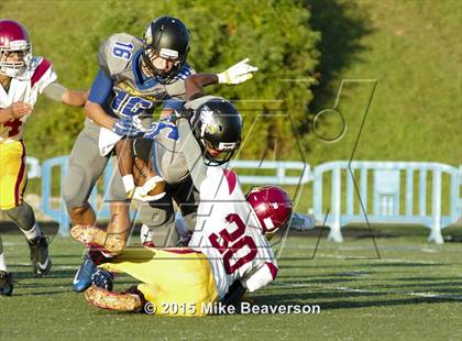 Thumbnail 2 in Lassiter @ Etowah photogallery.