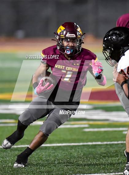 Thumbnail 3 in Chaffey @ West Covina photogallery.