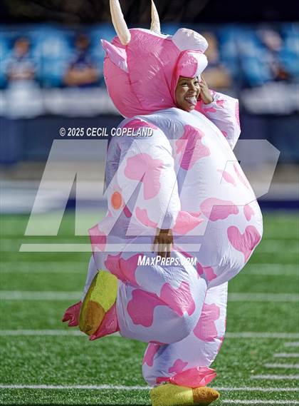 Thumbnail 2 in North Paulding @ Marietta photogallery.