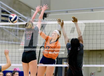 Thumbnail 2 in Marshall vs. Brandeis photogallery.