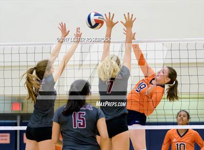 Thumbnail 1 in Marshall vs. Brandeis photogallery.