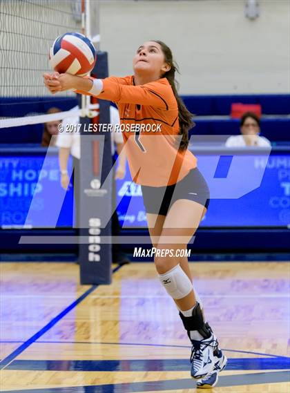 Thumbnail 1 in Marshall vs. Brandeis photogallery.