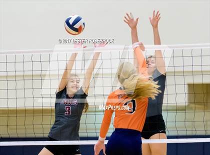 Thumbnail 3 in Marshall vs. Brandeis photogallery.