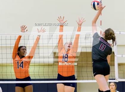 Thumbnail 2 in Marshall vs. Brandeis photogallery.