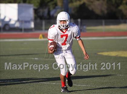 Thumbnail 2 in Santa Maria @ Righetti photogallery.
