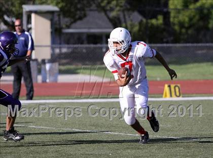 Thumbnail 2 in Santa Maria @ Righetti photogallery.