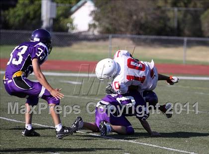 Thumbnail 1 in Santa Maria @ Righetti photogallery.