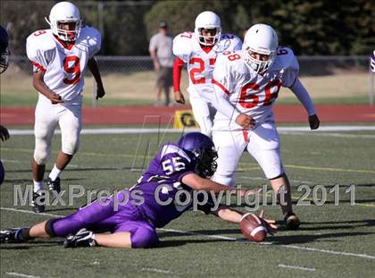 Thumbnail 1 in Santa Maria @ Righetti photogallery.