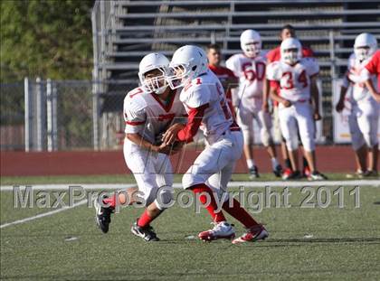 Thumbnail 1 in Santa Maria @ Righetti photogallery.