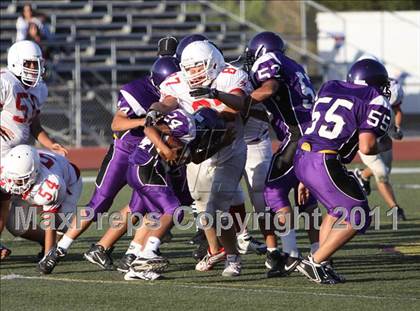 Thumbnail 2 in Santa Maria @ Righetti photogallery.