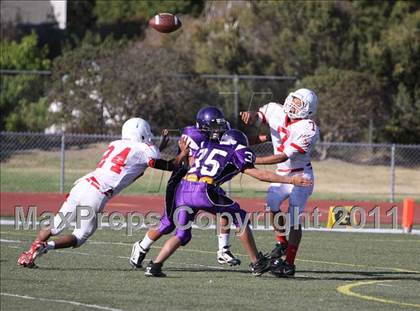 Thumbnail 2 in Santa Maria @ Righetti photogallery.