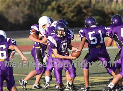 Thumbnail 1 in Santa Maria @ Righetti photogallery.