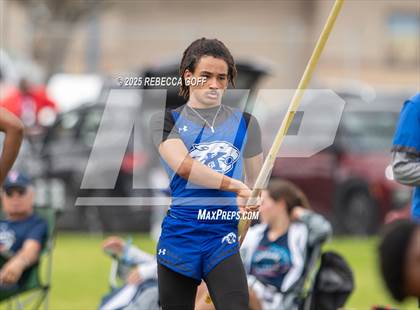 Thumbnail 1 in Dickinson C.L. Hanna Gator Relays photogallery.