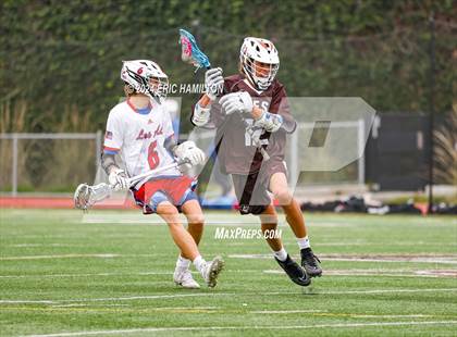 Thumbnail 1 in Los Alamitos @ Crespi photogallery.