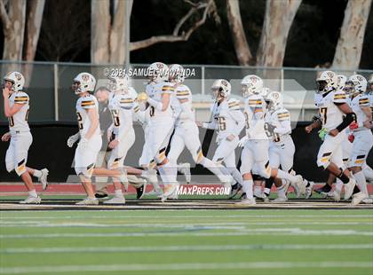 Thumbnail 2 in Crespi @  Calabasas photogallery.