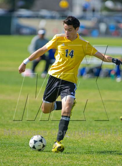 Thumbnail 3 in Brennan vs Bandera photogallery.
