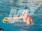 Photo from the gallery "Poly @ Damien"