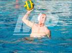 Photo from the gallery "Poly @ Damien"