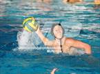 Photo from the gallery "Poly @ Damien"
