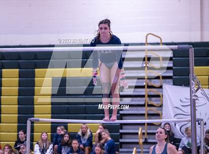 Thumbnail 2 in Shore Conference Gymnastics Championship photogallery.