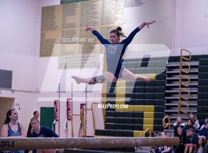 Thumbnail 1 in Shore Conference Gymnastics Championship photogallery.