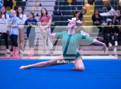 Thumbnail 2 in Shore Conference Gymnastics Championship photogallery.