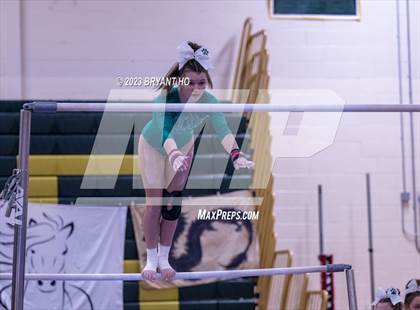 Thumbnail 3 in Shore Conference Gymnastics Championship photogallery.