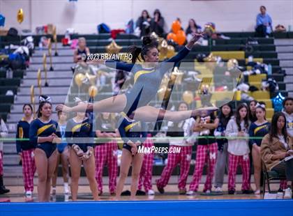 Thumbnail 2 in Shore Conference Gymnastics Championship photogallery.