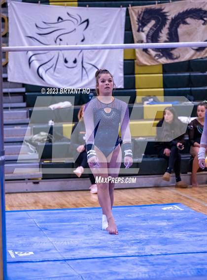 Thumbnail 2 in Shore Conference Gymnastics Championship photogallery.