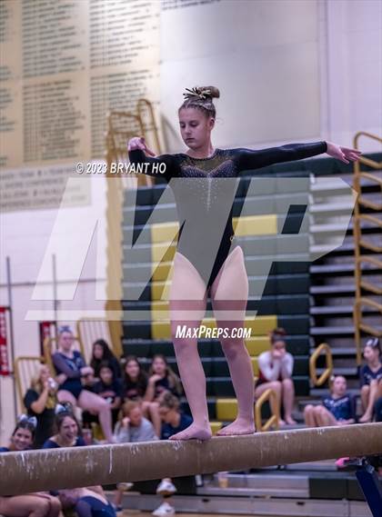 Thumbnail 2 in Shore Conference Gymnastics Championship photogallery.