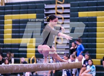 Thumbnail 3 in Shore Conference Gymnastics Championship photogallery.