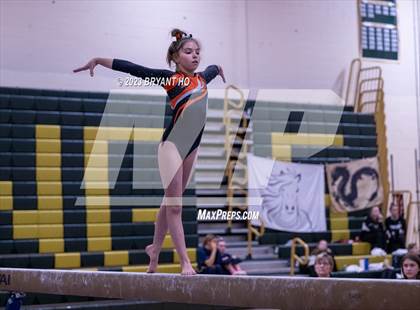Thumbnail 1 in Shore Conference Gymnastics Championship photogallery.