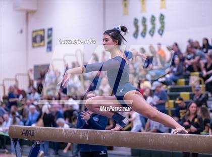 Thumbnail 1 in Shore Conference Gymnastics Championship photogallery.