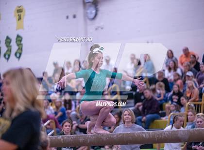 Thumbnail 1 in Shore Conference Gymnastics Championship photogallery.