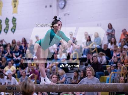 Thumbnail 2 in Shore Conference Gymnastics Championship photogallery.